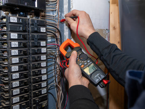 Best Electrical System Inspection  in Savannah, TN
